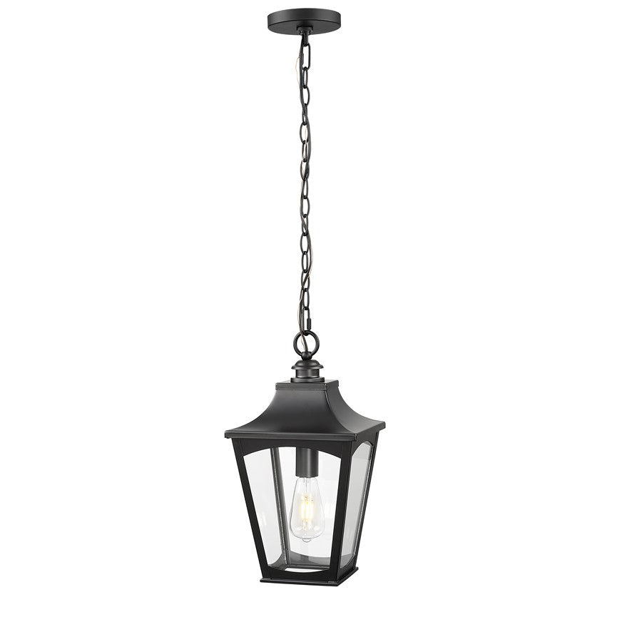 Millennium Lighting Curry 1Lt Outdoor Pendant, Coated Black/Clear