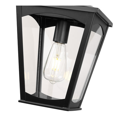 Millennium Lighting Curry 1Lt Outdoor Pendant, Coated Black/Clear