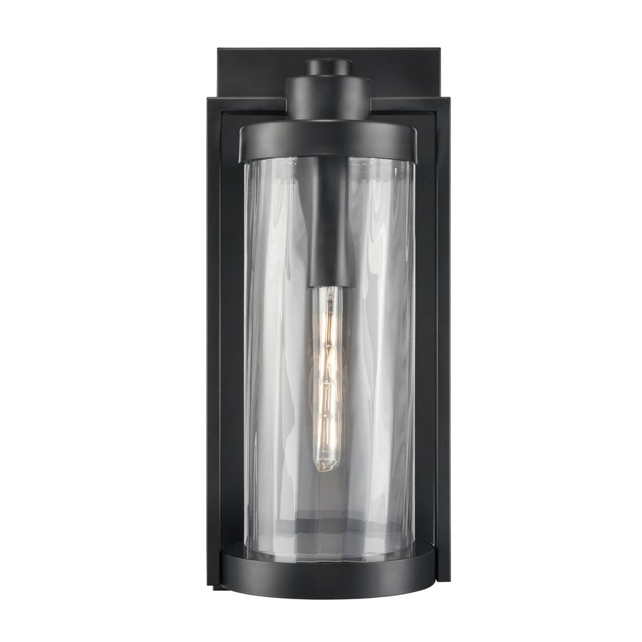 Millennium Braselton 1Lt 24" Outdoor Sconce, Black/Clear Ribbed