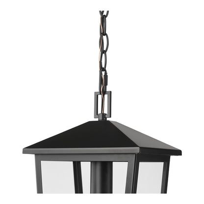 Millennium Munger 1Lt 9" Outdoor Hanging Pendant, Black/Clear