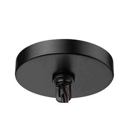 Millennium Denzell 1Lt 8" Outdoor Hanging Lantern, Black/Clear