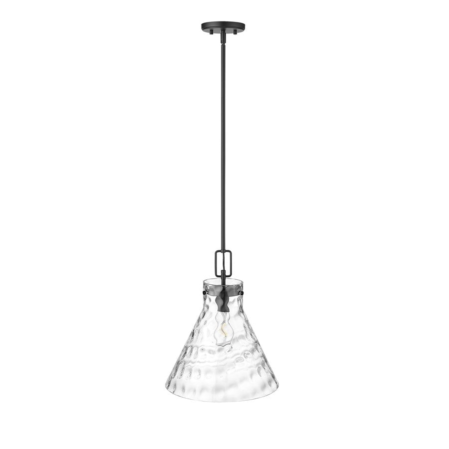 Millennium Lighting Barlon 1Lt Pendant, Black/Clear