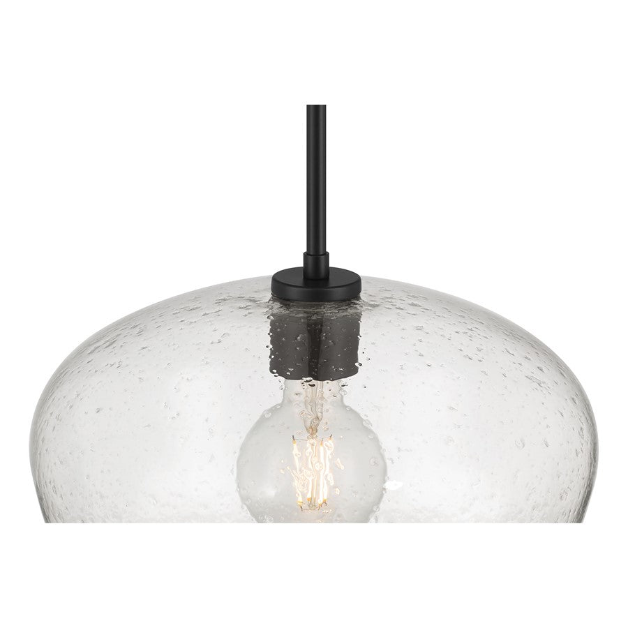 Millennium Lighting Pomari 1Lt 11" Pendant, Black/Clear Textured