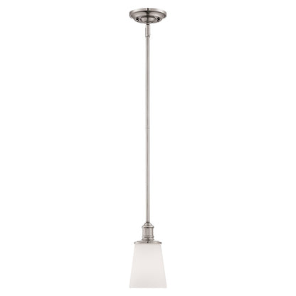 1 Light Mini Pendant