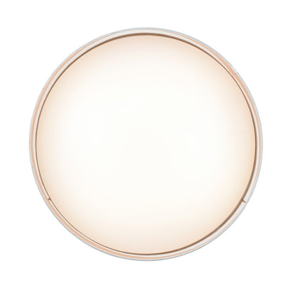 Millennium Rosata 20" Wide Flushmount, White/Burnished Gold Interior