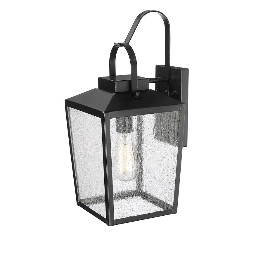 Millennium Devens 1Lt 16" Outdoor Wall Sconce, Black/Clear Seeded