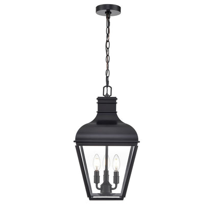 Millennium Edenton 3Lt 11" Outdoor Hanging Pendant, Black/Clear