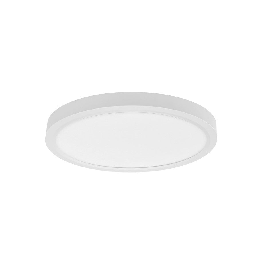 RP Lighting Slim Edge-Lit 12" LED Disc, White - 4352WH-12-5CCT