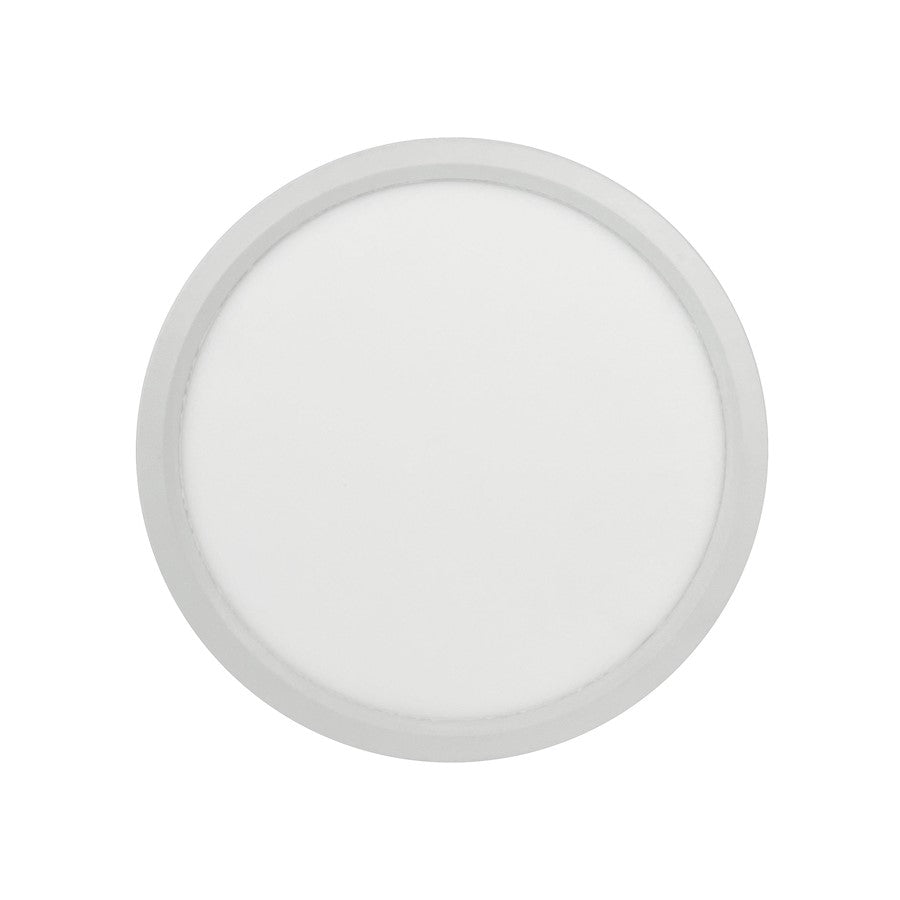 RP Lighting Slim Edge-Lit 12" LED Disc, White