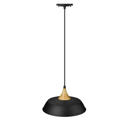 Millennium Lighting Arlo 1 Light Pendant, Matte Black