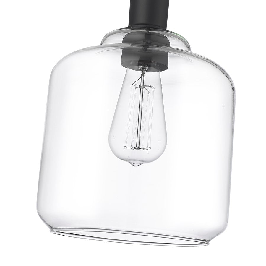 Millennium Lighting Asheville 1Lt Mini-Pendant, Black/Clear