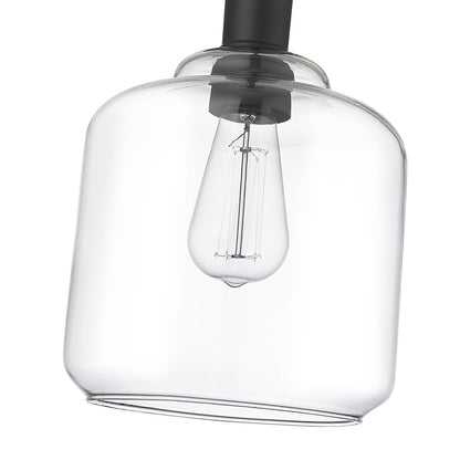 Millennium Lighting Asheville 1Lt Mini-Pendant, Black/Clear