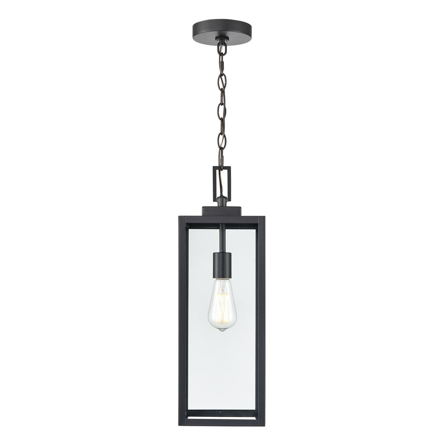 929 Lighting Atless 1Lt Outdoor Pendant, Black/Clear