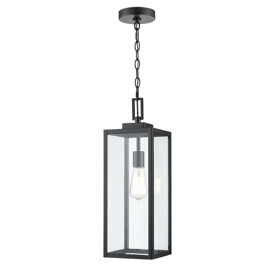 929 Lighting Atless 1Lt Outdoor Pendant, Black/Clear