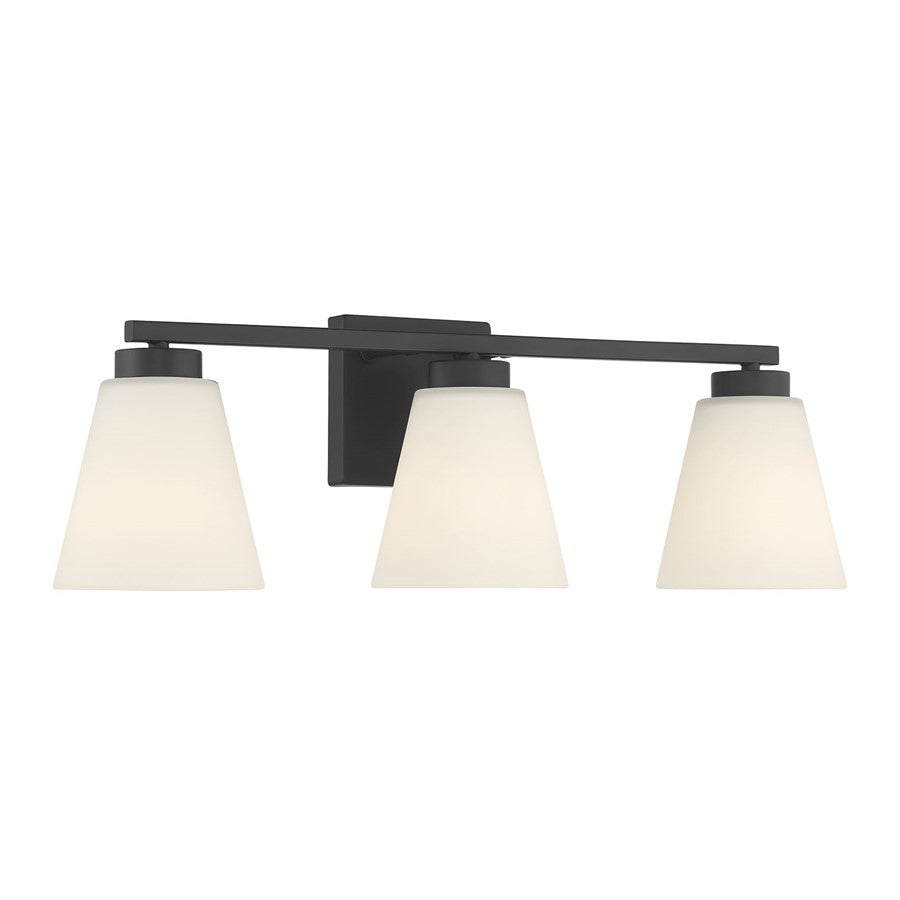 Millennium Strayhan 3Lt Bathroom Vanity Light, Black/White Frosted