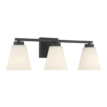 Millennium Strayhan 3Lt Bathroom Vanity Light, Black/White Frosted