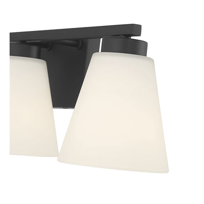 Millennium Strayhan 3Lt Bathroom Vanity Light, Black/White Frosted