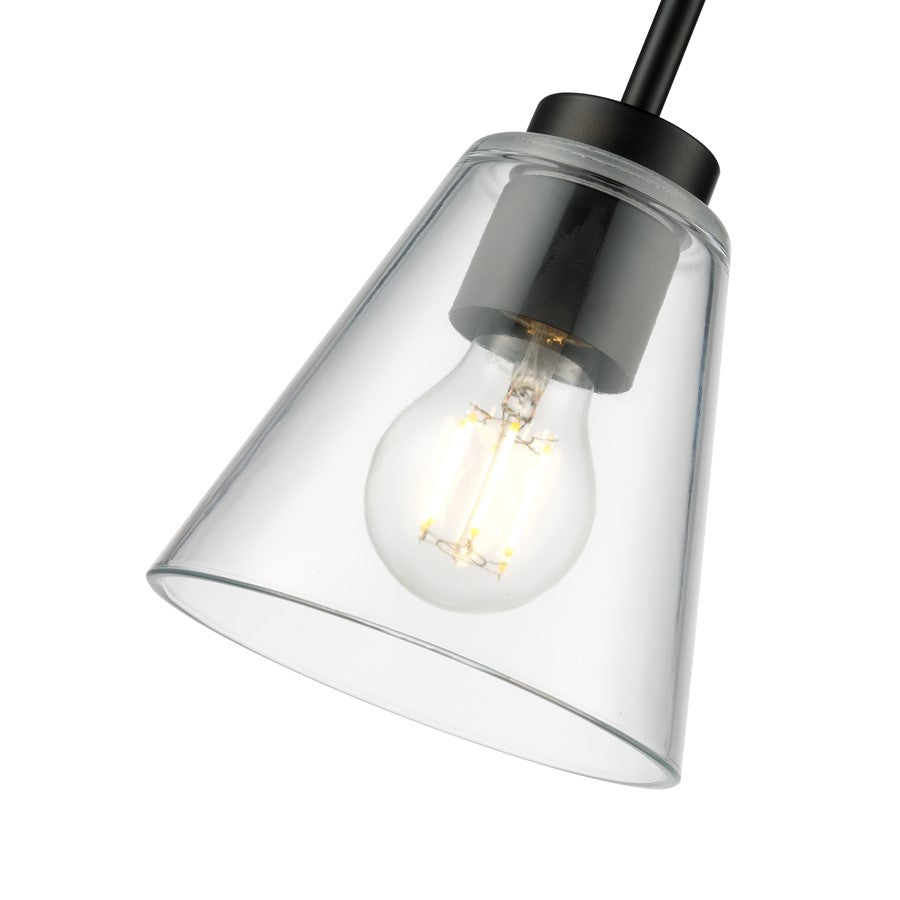 Millennium Lighting Strayhan 5.75" 1Lt Mini Pendant, Black/Clear