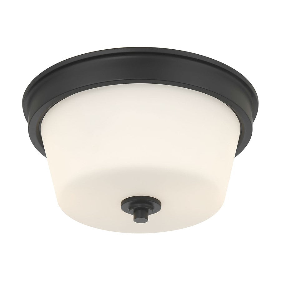 Millennium Lighting Strayhan 2Lt Flush Mount, Black/White Frosted - 64102WG-MB
