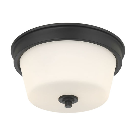 Millennium Lighting Strayhan 2Lt Flush Mount, Black/White Frosted - 64102WG-MB