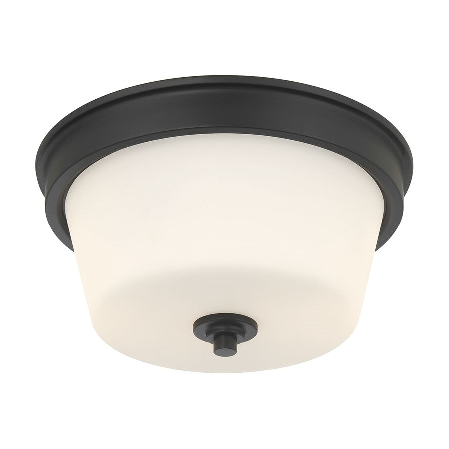 Millennium Lighting Strayhan 2Lt Flush Mount, Black/White Frosted