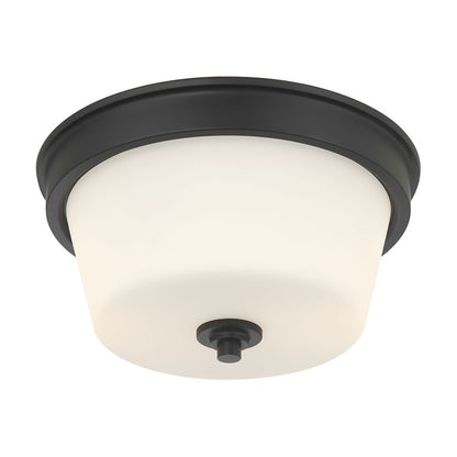 Millennium Lighting Strayhan 2Lt Flush Mount, Black/White Frosted