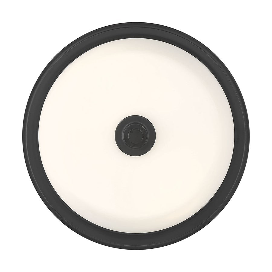 Millennium Lighting Strayhan 2Lt Flush Mount, Black/White Frosted