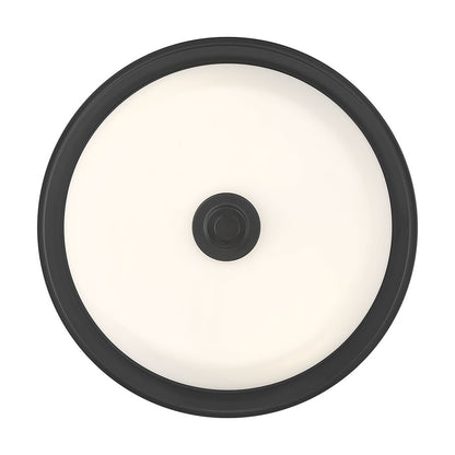 Millennium Lighting Strayhan 2Lt Flush Mount, Black/White Frosted