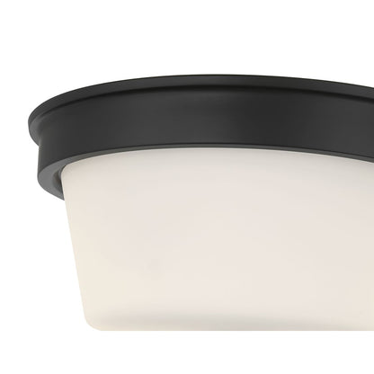 Millennium Lighting Strayhan 2Lt Flush Mount, Black/White Frosted