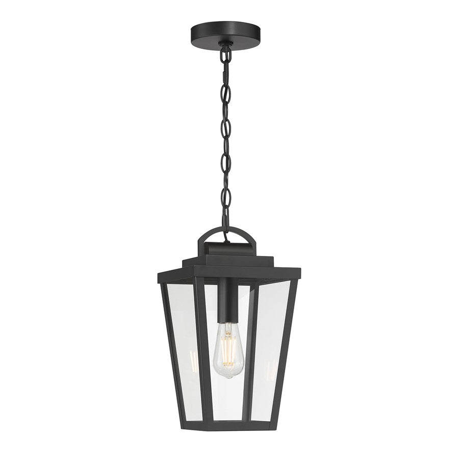 Millennium Lighting Brenwick 1Lt Outdoor Pendant, Coated Black - 68301-PBK