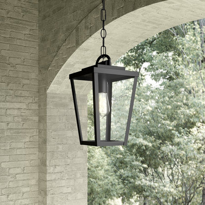 Millennium Lighting Brenwick 1Lt Outdoor Pendant, Coated Black