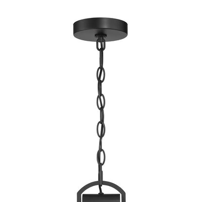 Millennium Lighting Brenwick 1Lt Outdoor Pendant, Coated Black