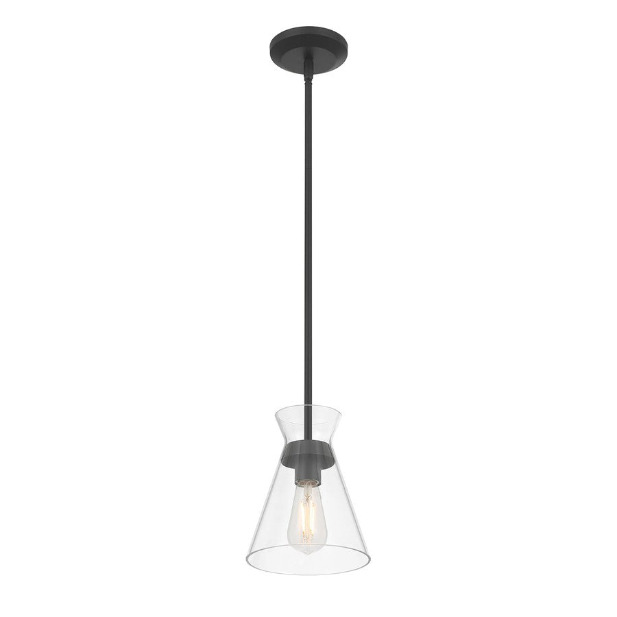 Millennium Lighting Amarella 1 Light 9" Pendant, Matte Black/Clear