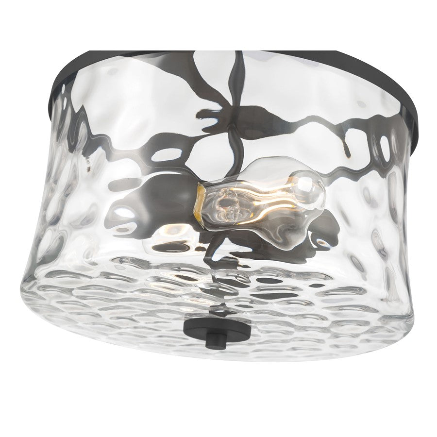 Millennium Clarvyn 2Lt Ceiling Fixture, Black/Clear Stone Water