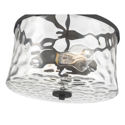 Millennium Clarvyn 2Lt Ceiling Fixture, Black/Clear Stone Water
