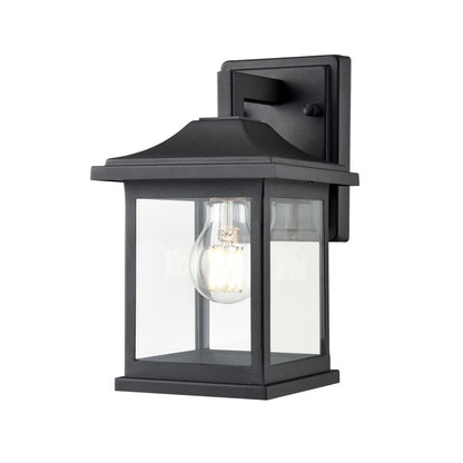 Millennium Southgate 1Lt 10" Outdoor Wall Sconce, Black/Clear