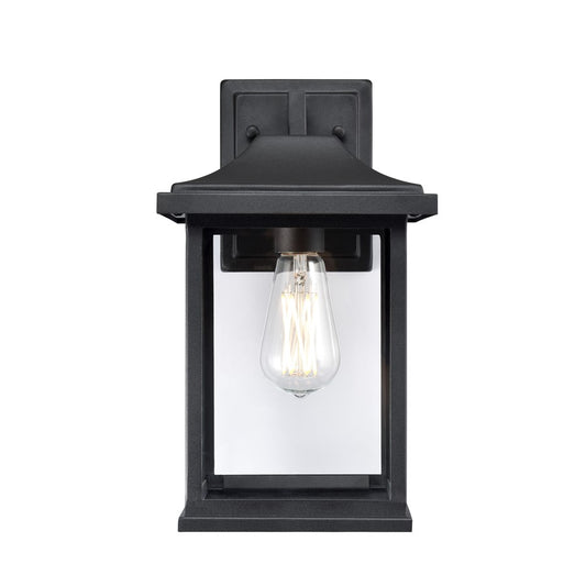 Millennium Southgate 1Lt 14" Outdoor Wall Sconce, Black/Clear - 91061-TBK