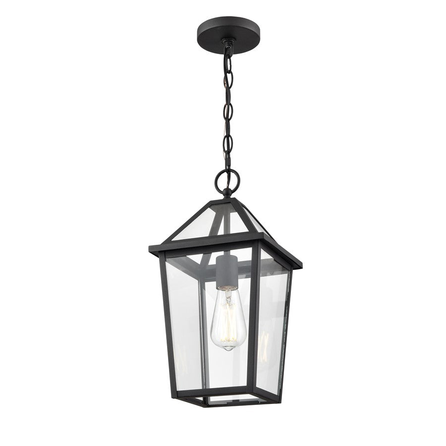 Millennium Lighting Eston 1Lt Outdoor Hanging Lantern, Black/Clear