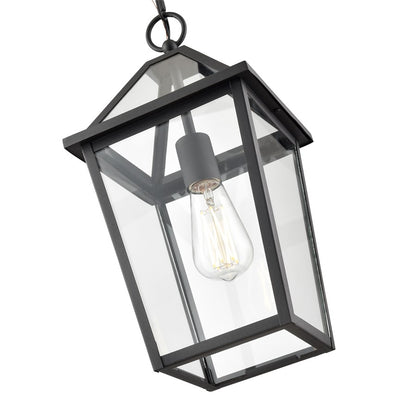 Millennium Lighting Eston 1Lt Outdoor Hanging Lantern, Black/Clear