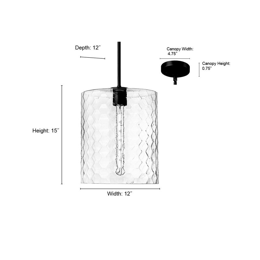 Millennium Lighting Ashli 1Lt Pendant, Black/Clear