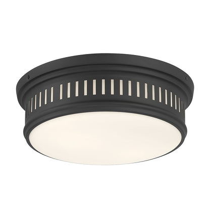 Millennium Lighting Velune 2 Light Flush Mount, Matte Black - 95102-MB