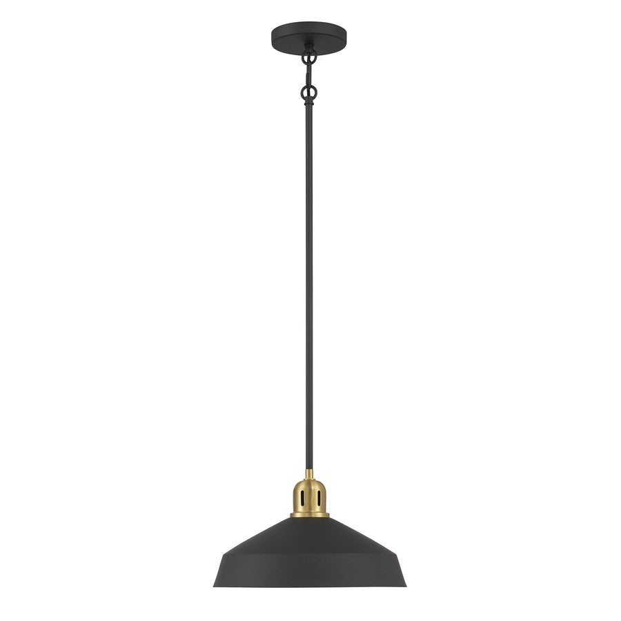 Millennium Lighting Axlen 1 Light Pendant, Matte Black