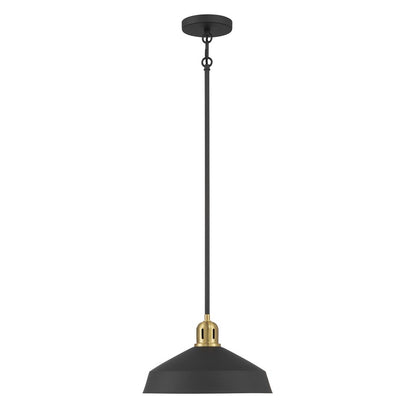 Millennium Lighting Axlen 1 Light Pendant, Matte Black