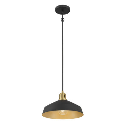 Millennium Lighting Axlen 1 Light Pendant, Matte Black