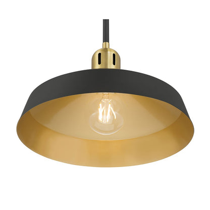 Millennium Lighting Axlen 1 Light Pendant, Matte Black
