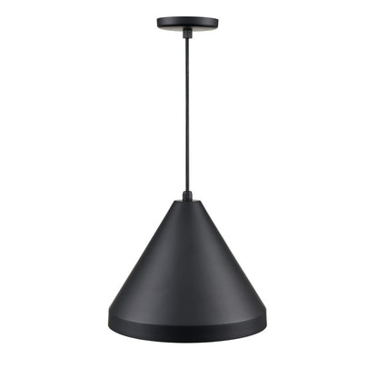 Millennium R Series 1Lt 17" Cord Hung Wide Cone, Satin Black