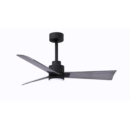 Matthews Fan Alessandra 1 3 Blade 42" Ceiling Fan