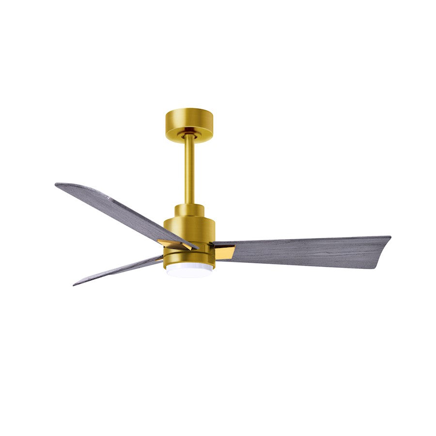 Matthews Fan Alessandra 1 3 Blade 42" Ceiling Fan