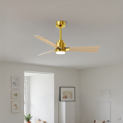 Matthews Fans Alessandra 42in 3-Blade Ceiling Fan | Transitional Brushed Brass and Light Maple ABS | Bedroom & Covered Patio | Model AKLK-BRBR-LM-42