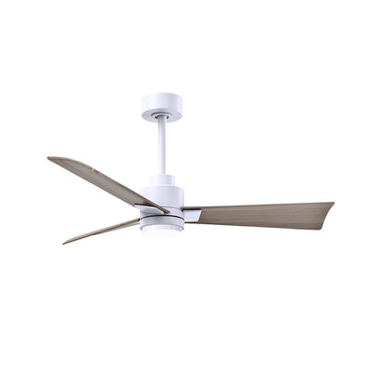 Matthews Fans Alessandra 42in 1-Light Ceiling Fan | Transitional Textured Bronze and Walnut ABS Blades | Bedroom & Office | Model AKLK-TB-WN-42